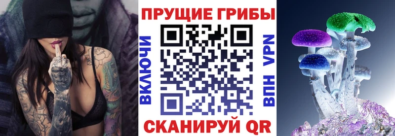 Псилоцибиновые грибы мицелий  наркошоп  Заречный 